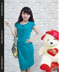 dam cong so  Viet Nam Gam Hoa