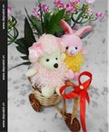 Xe hoa  Tinh ban  