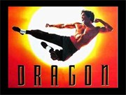 Chơi game Long Tranh Hổ Đấu Dragon – The Bruce Lee Story
