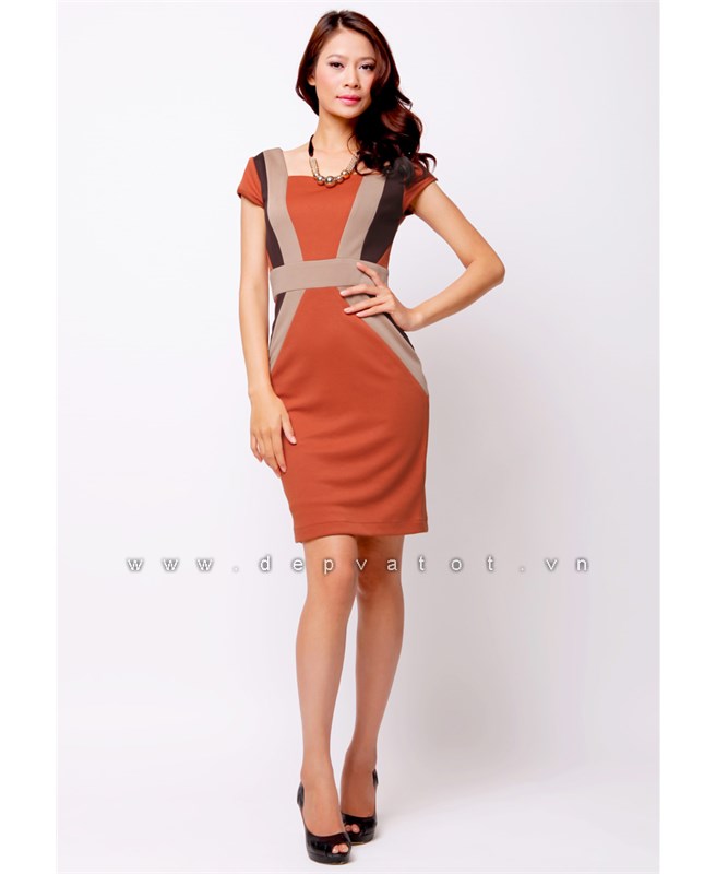 dam cong so  duyen dang viet nam